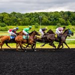 Horse Racing: Gaelic Warrior sparkles in the 2024 Arkle Challenge Trophy