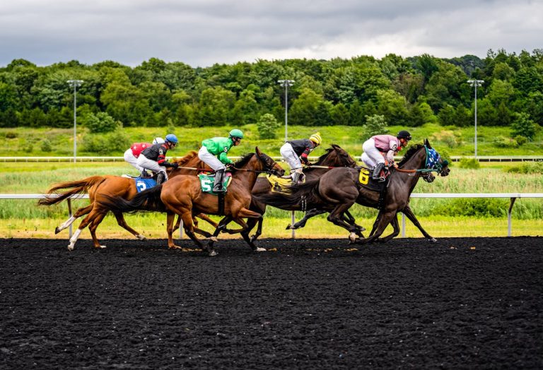 Horse Racing: Gaelic Warrior sparkles in the 2024 Arkle Challenge Trophy