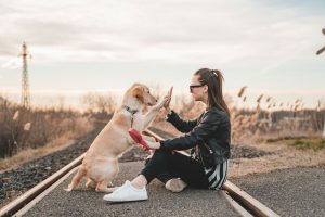 Having a dog can decrease your risk of dementia